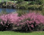 article image - 